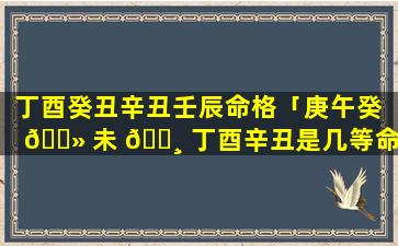 丁酉癸丑辛丑壬辰命格「庚午癸 🌻 未 🕸 丁酉辛丑是几等命格」